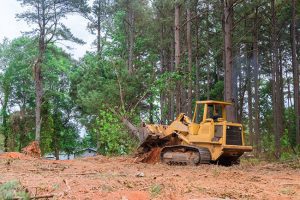 4 Key Points That Highlight the Need For Responsible Land Clearing
