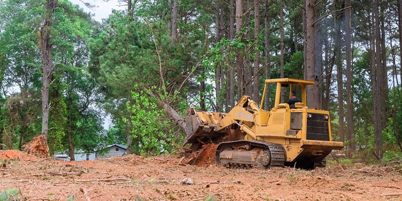 4 Key Points That Highlight the Need For Responsible Land Clearing 